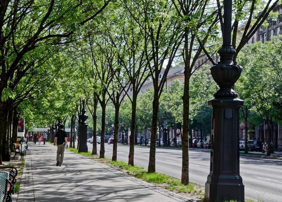 Budapest Central Andrassy Apartment المظهر الخارجي الصورة